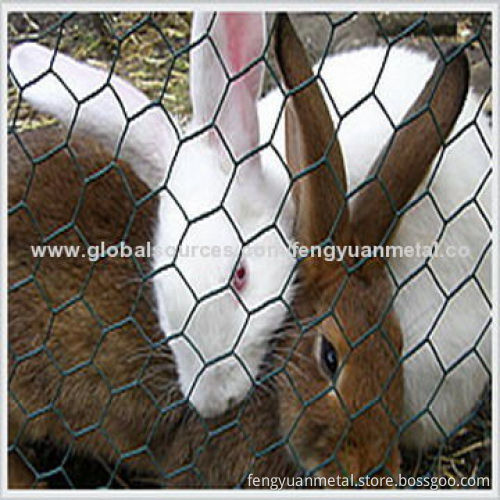 Hexagonal wire mesh, electro-galvanized/hot-dip galvanizedNew